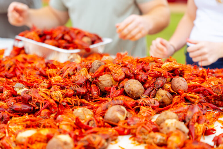Dogwood Volunteers at Crawfish Boil